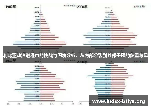 利比亚政治进程中的挑战与困境分析：从内部分裂到外部干预的多重考量